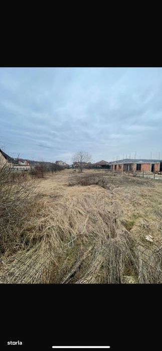 Teren 20 Ari de vanzare zona Dedeman