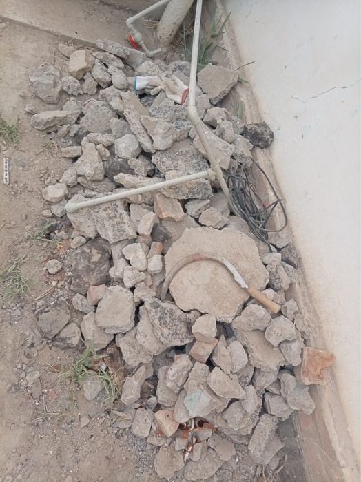 Тегін жемтік керек болса алып кете беріңдер