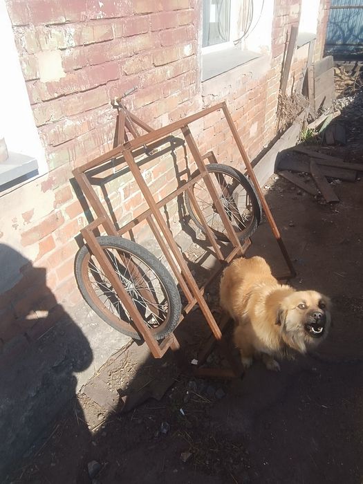 Продам прицеп для велосипеда