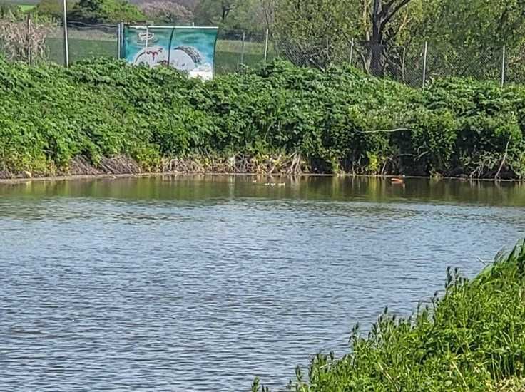 Продава се Парцел в с. Чернево, Област Варна - 14098 кв.м за 11 €/кв.м - Снимка #2