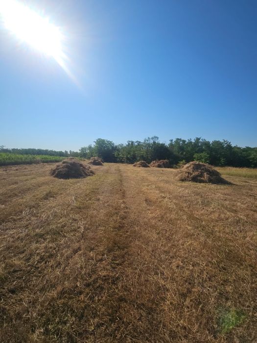 Teren Albota, intravilan + extravilan - 4600 mp