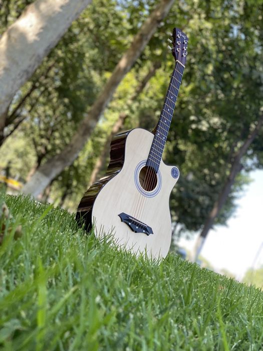 акустическая гитара профессионал