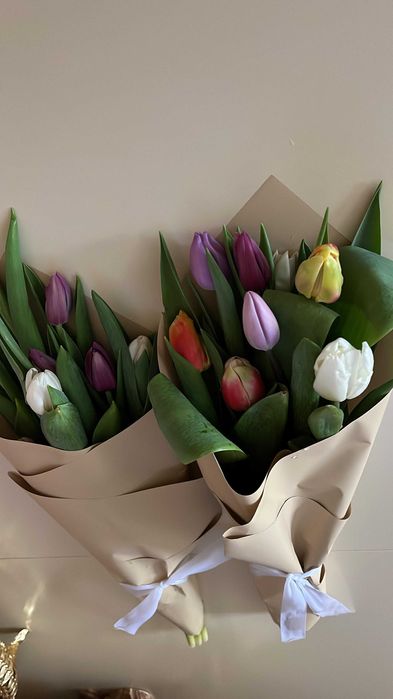 тюльпаны оптом, в розницу 600