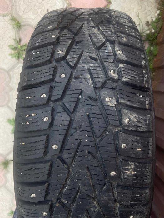 Зимние шипованные автошины