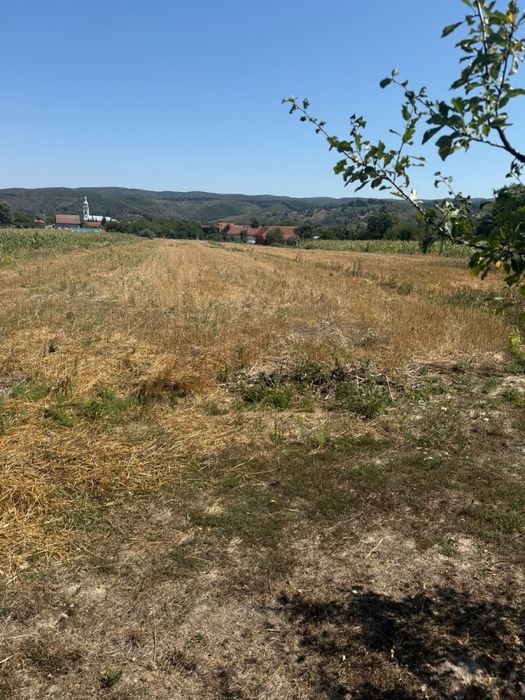 Teren intravilan