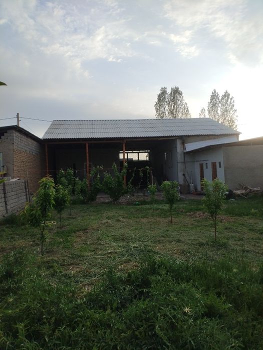 5 су́тих 3 хона ошхонаси алохида участка сотилади