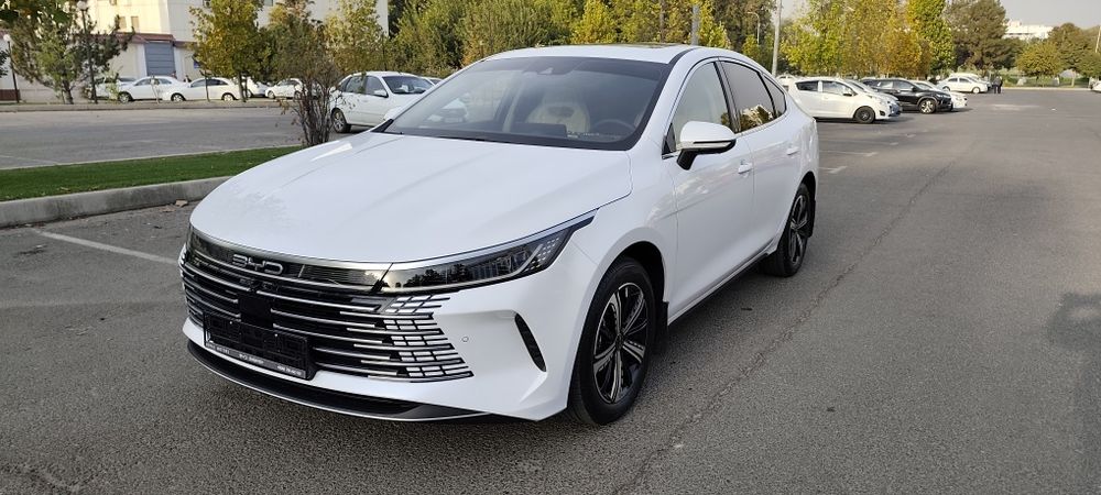 BYD Chazor flagship 120 full Позиция.