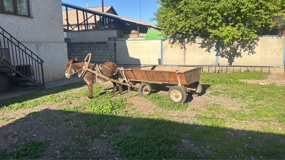 продается в комплекте