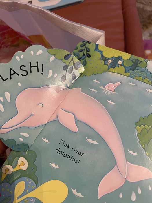 Set 2 carti usbone si litera mica copii