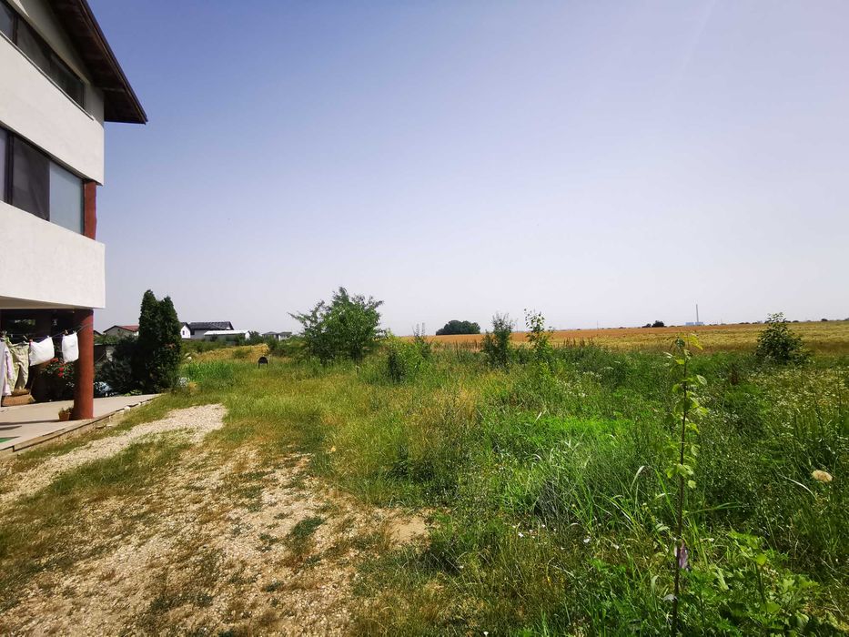 Teren, 8950 mp, langa padure, Intravilan, Magurele, strada Tangentei
