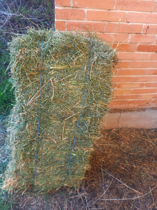 Vand baloti de lucerca