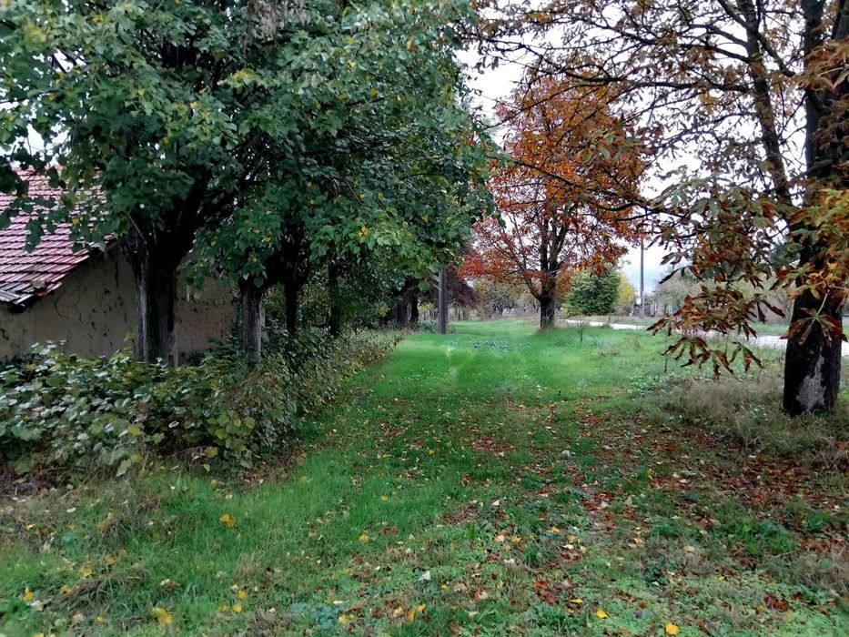 Голям двор с 3 отделни постройки