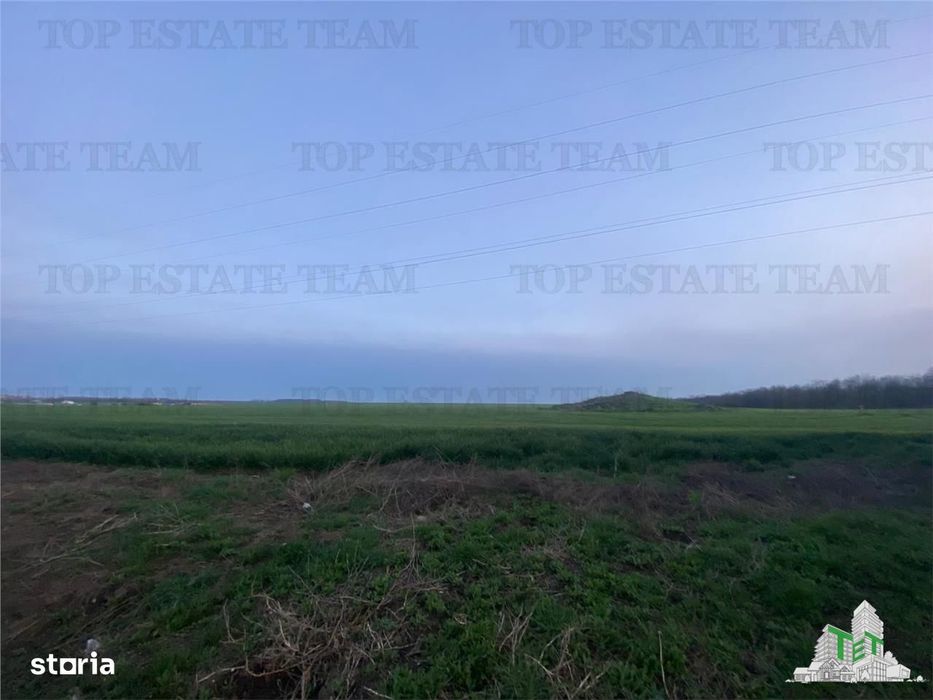 Teren intravilan 15000 mp Costinesti, Constanta
