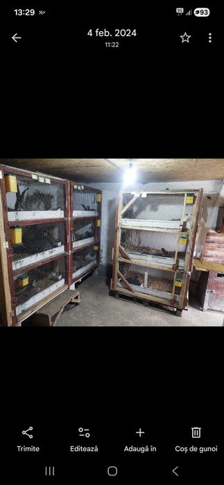 Cușcă iepuri  de vinzare