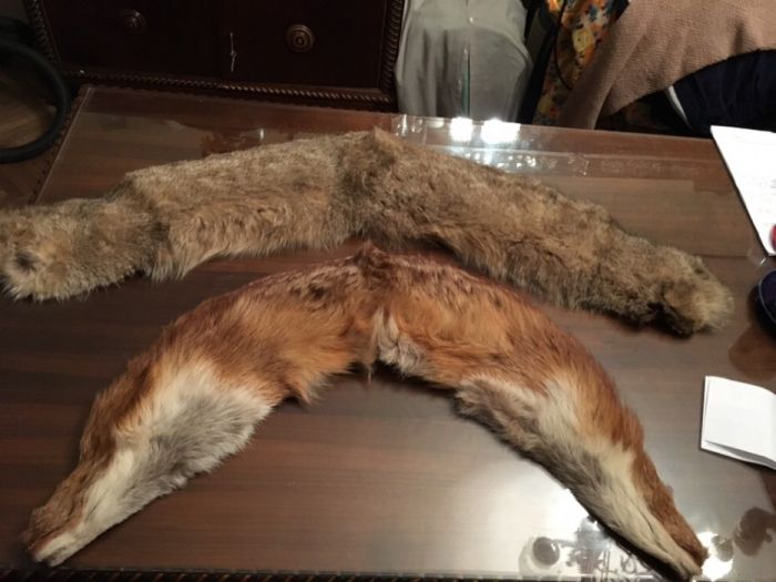 Gulere din blana de vulpe