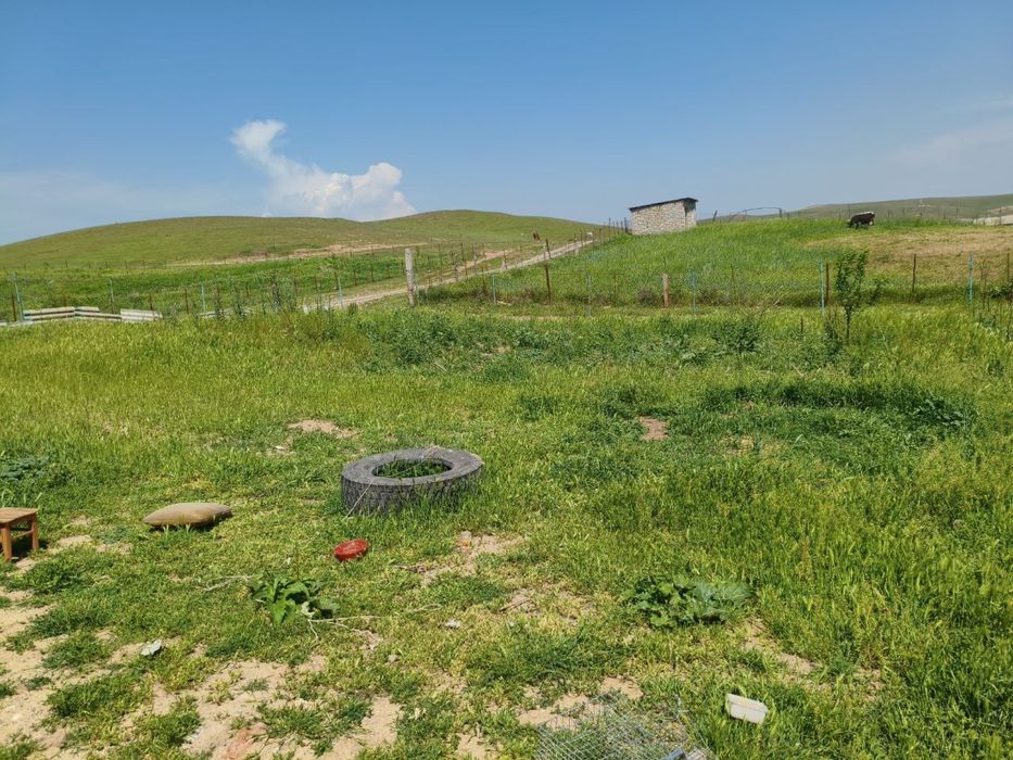 Помещение для фермы в аренду