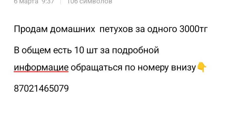 Продам петухов домашних