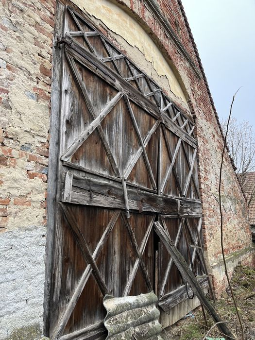 Stejar vechi de vanzare