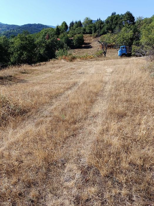 Продава се Парцел в с. Баните, Област Смолян - 600 кв.м за 17 €/кв.м - Снимка #4