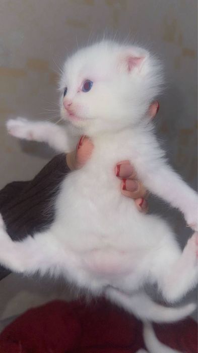 Девушкаааааааааа