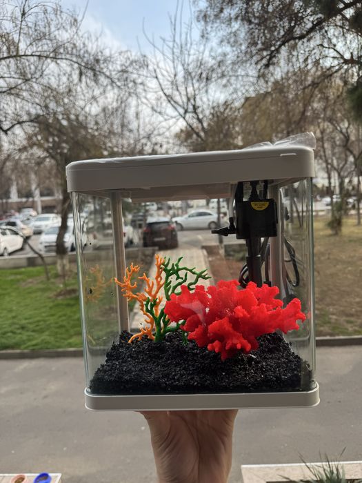 Akvarium xitoy mini new