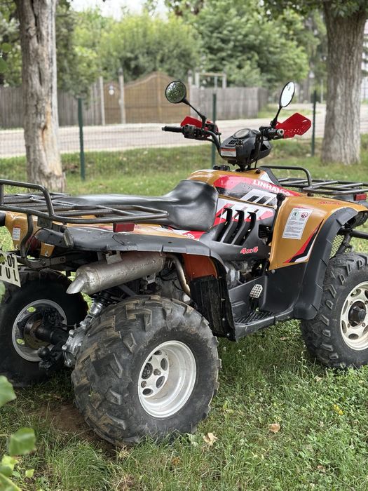 Vand Linhai 300 4x4