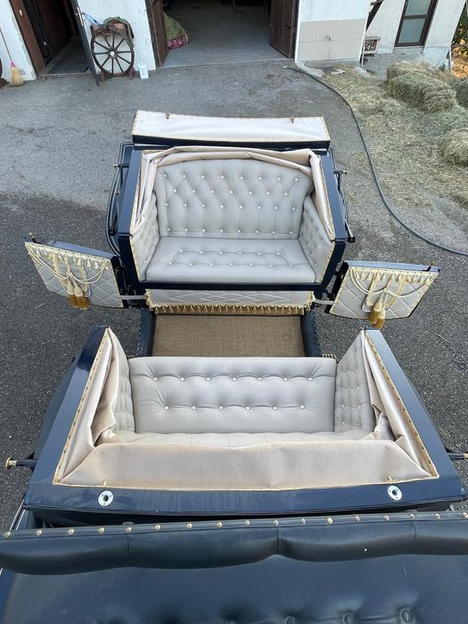 Vând trasura evenimente