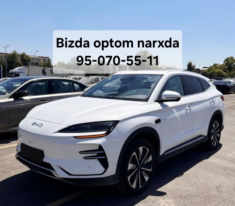 ** Byd chempion smart drive 2025