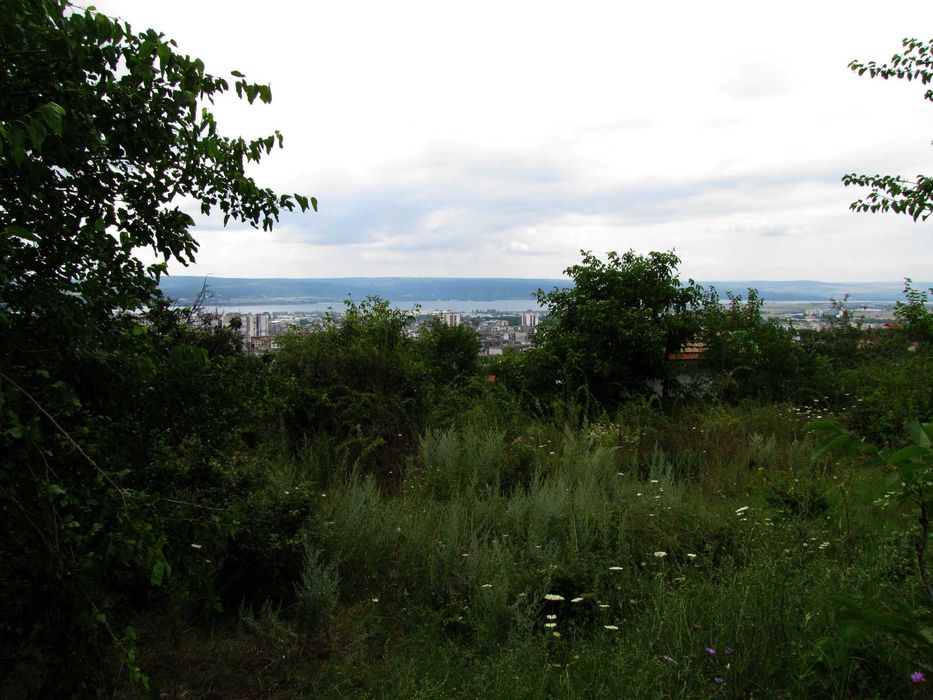 Продава се Парцел в Варна, ВИНС - 1000 кв.м за 65 €/кв.м - Снимка #2