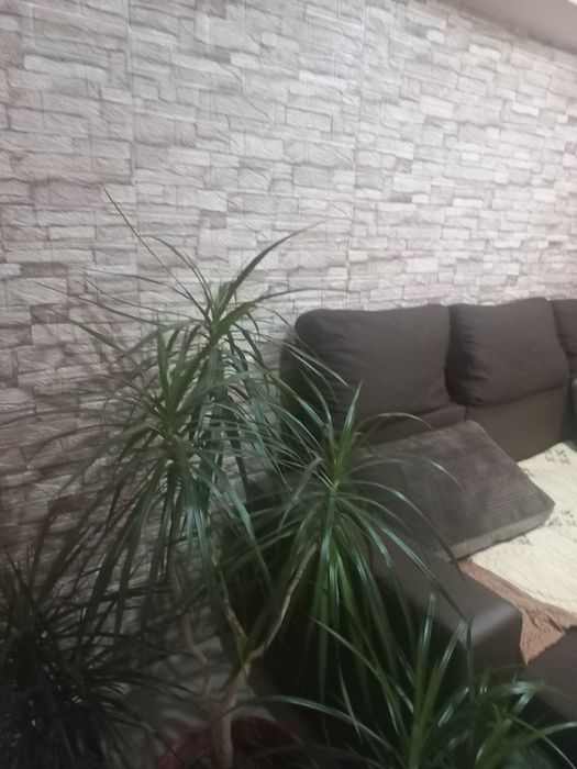 Tapet 3d autoadeziv