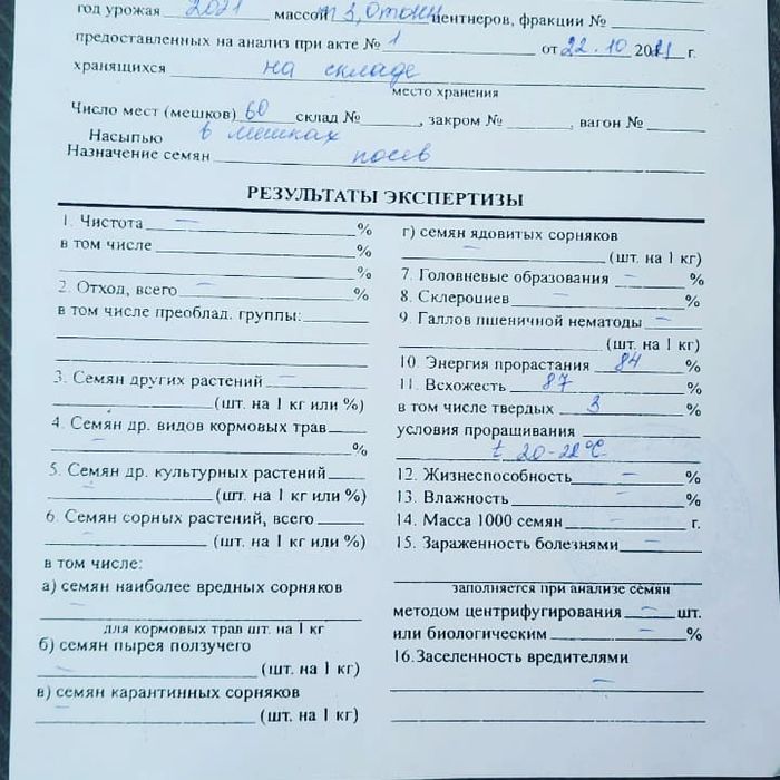 Семена люцерна. Жонышка тукымы