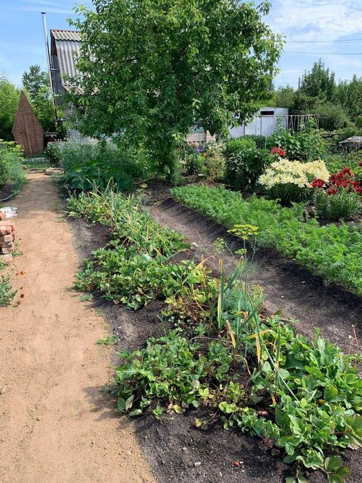 Продам дачу 5 соток в садовом обществе Космос