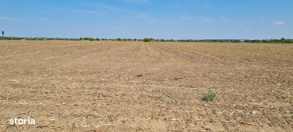 Teren pentru proiect de case in Buftea, cu deschidere la lacul Buciume