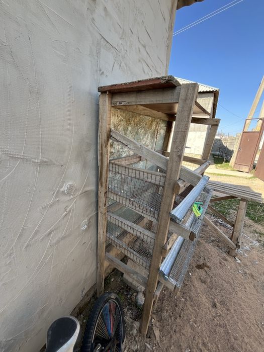 Бөдене ұясы бар.     .