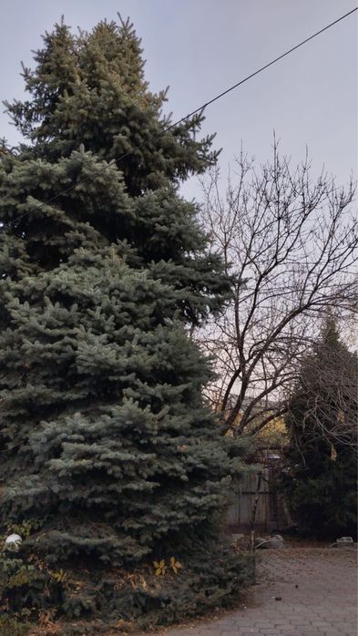 Сдам в аренду помещение под ясли сад