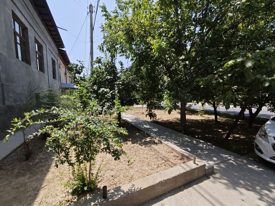 Uy qora qamish 2/4 moyqorgon 12 yoki 6 sotok sotiladi