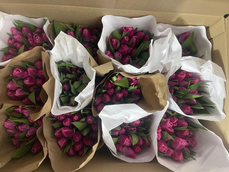 Тюльпаны букетами  по низким ценам