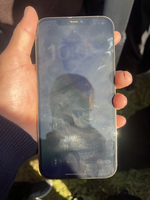 Iphone 12 pro max