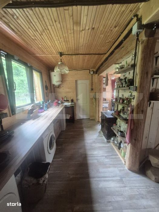 Cabana cu parau si brazi maturi, 1400mp, Valea Fericirii