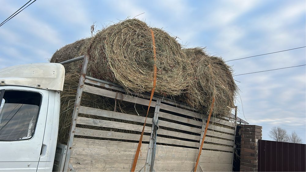 Руллон шоп малга