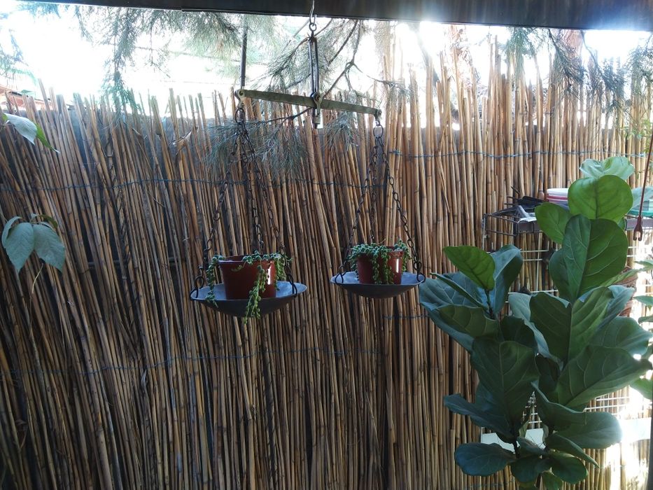 Царские весы 1899 год