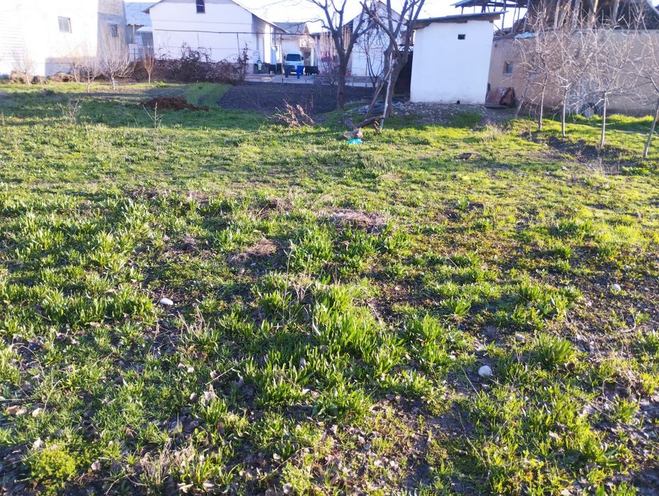 Yer sotiladi 4 sotig