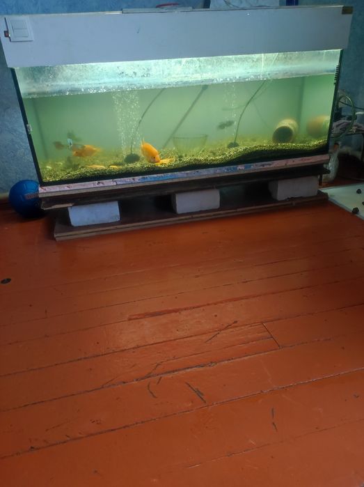 Продам аквариум на 500 литров