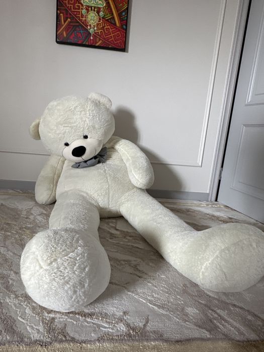 Медведь два метра