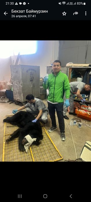 Ветеринарный услуги