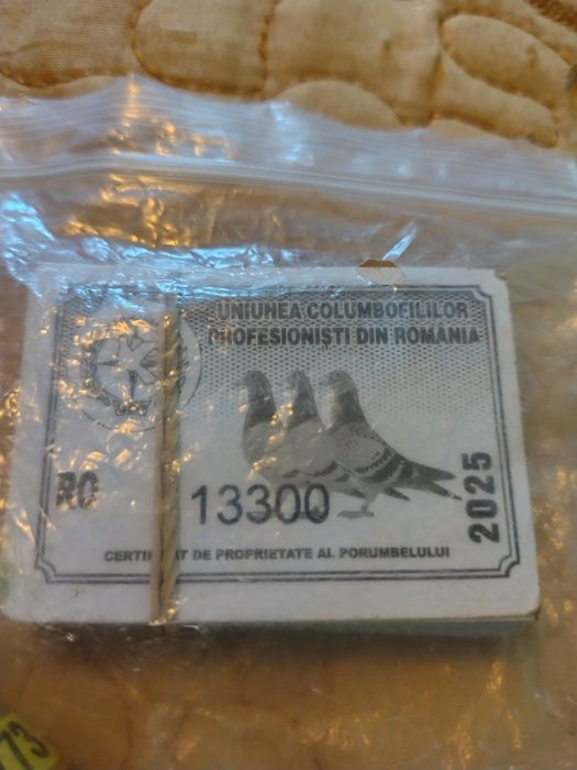 Vând inele porumbei cele 2024 nu am taloane iar și 2025 cu talon