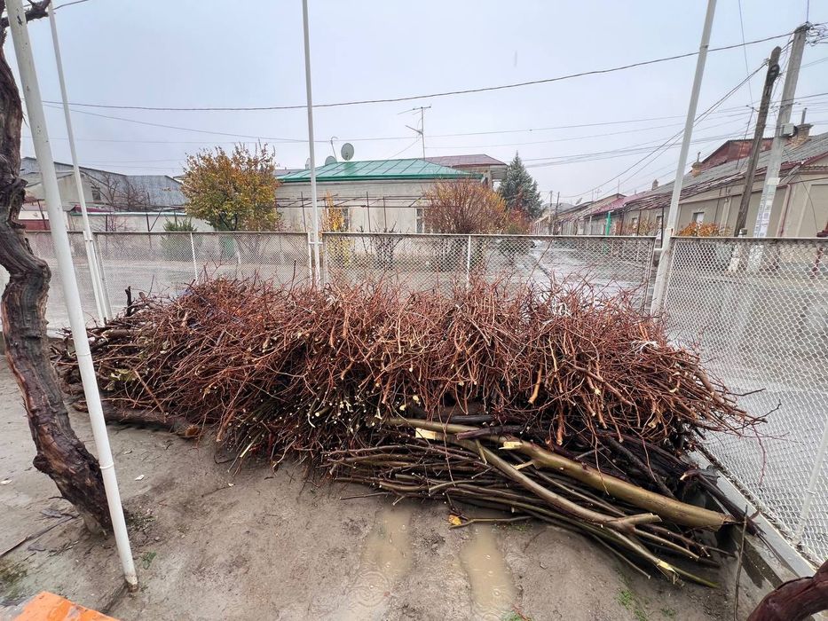 Дрова Хезум продаю