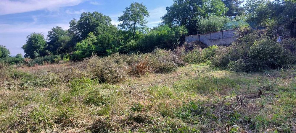 Почистване на запустели парцели и имоти