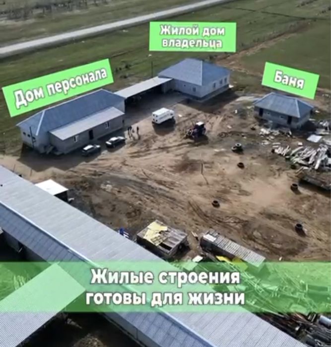 продам хзяйство с участком