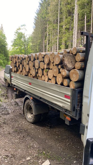 Vând lemn de foc fag